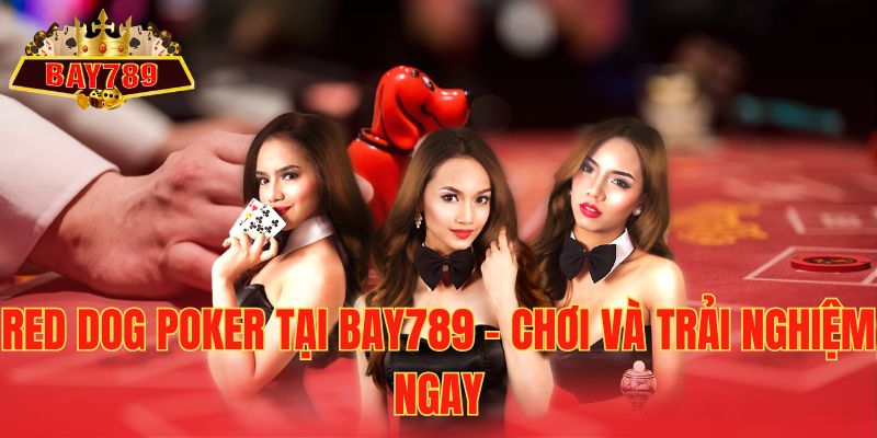 Red Dog Poker Tại Bay789 – Chơi Và Trải Nghiệm Ngay